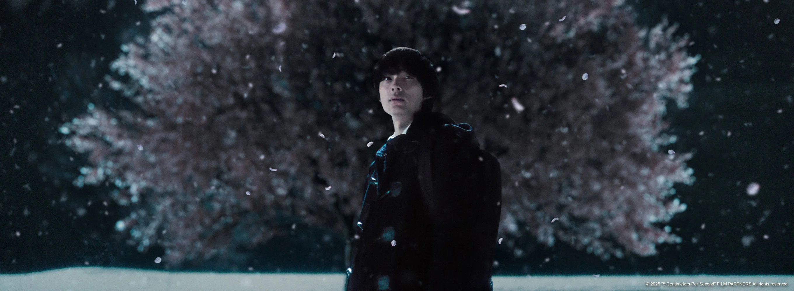 5 Centimeters per Second