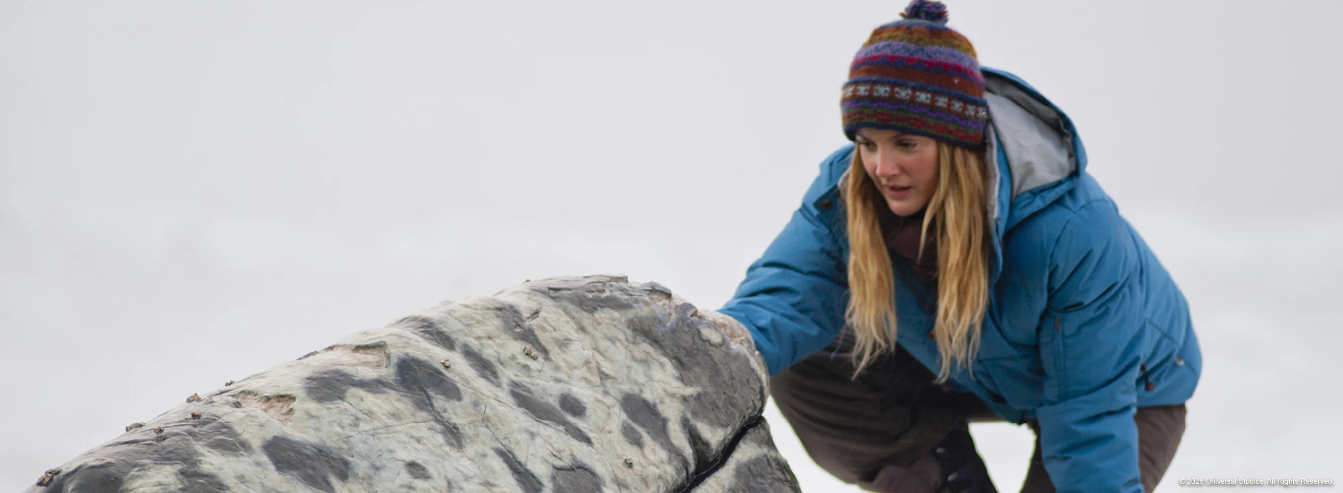 Big Miracle