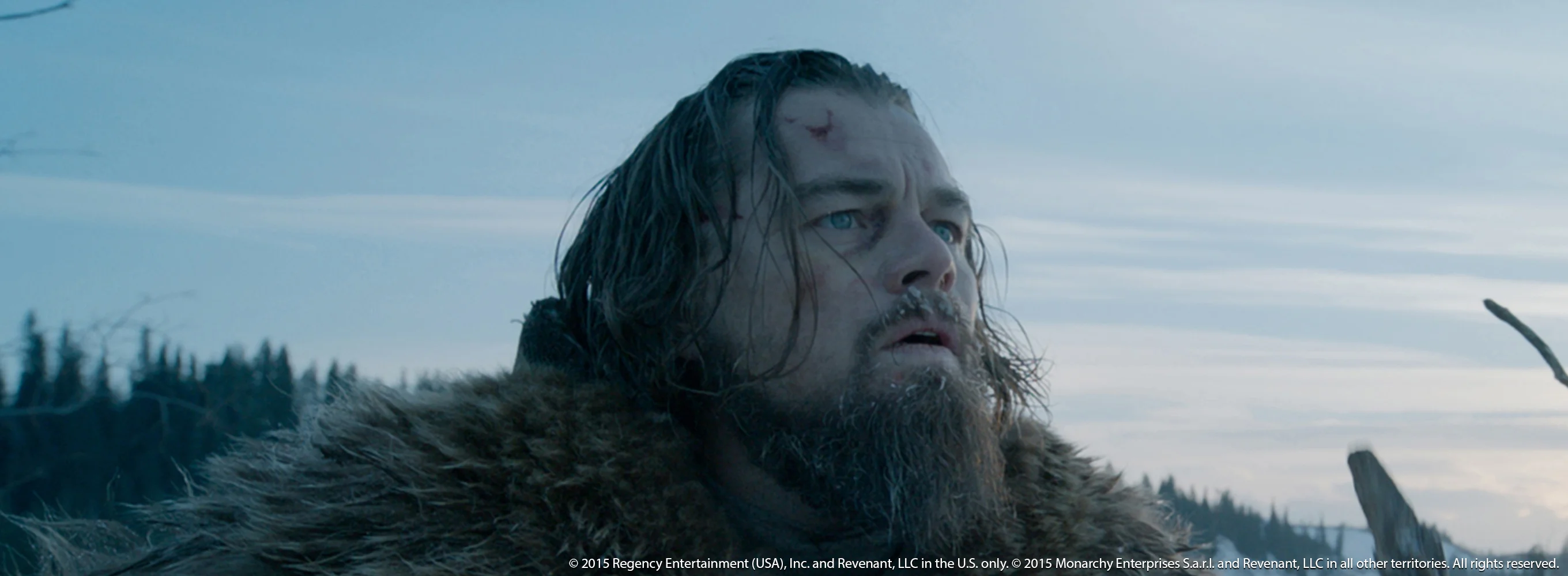 The Revenant
