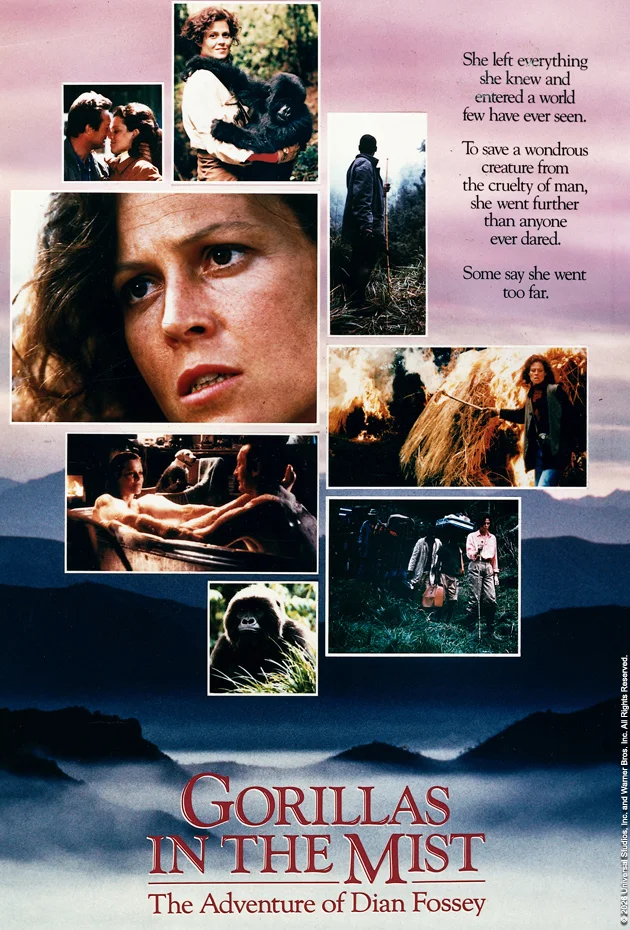 Gorillas in the Mist