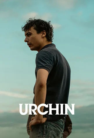 Urchin