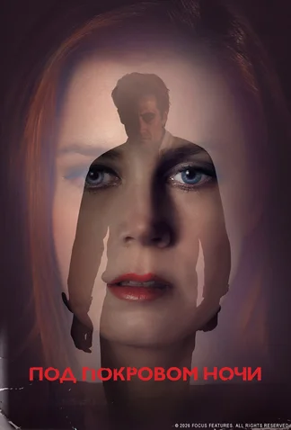 Nocturnal Animals