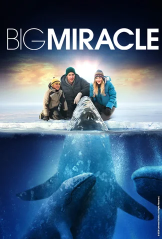 Big Miracle