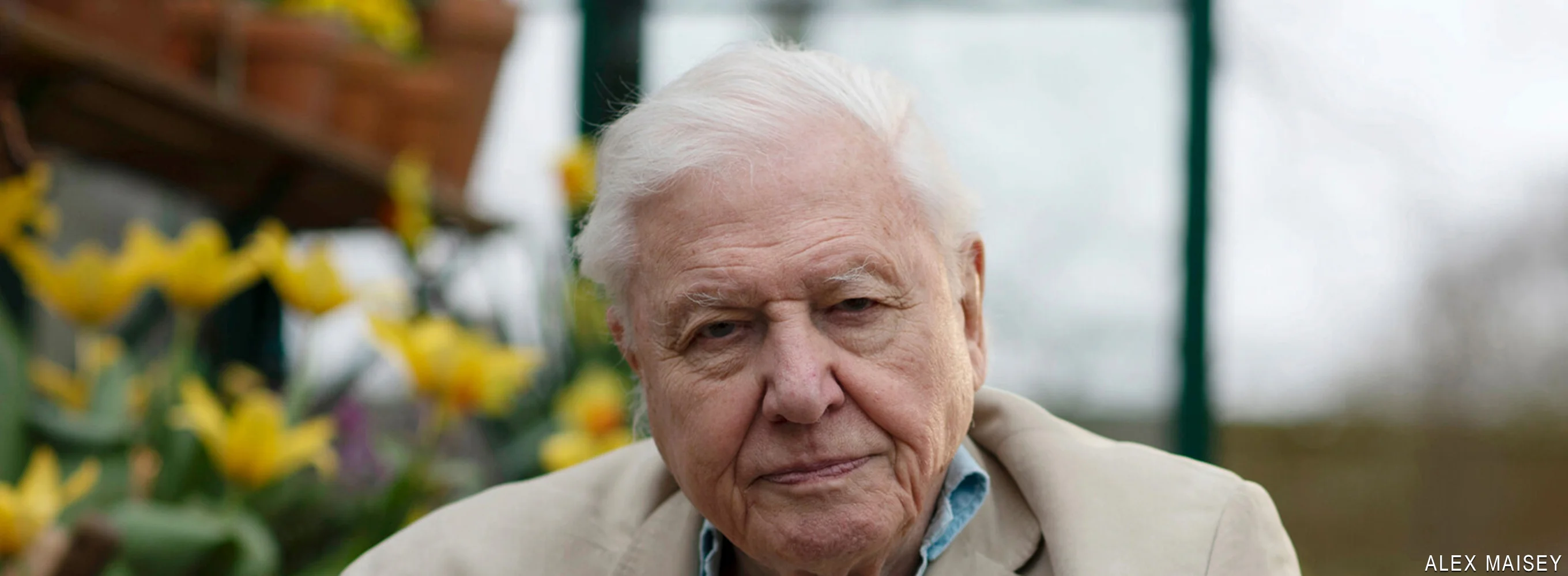 Attenborough's Wonder of Song