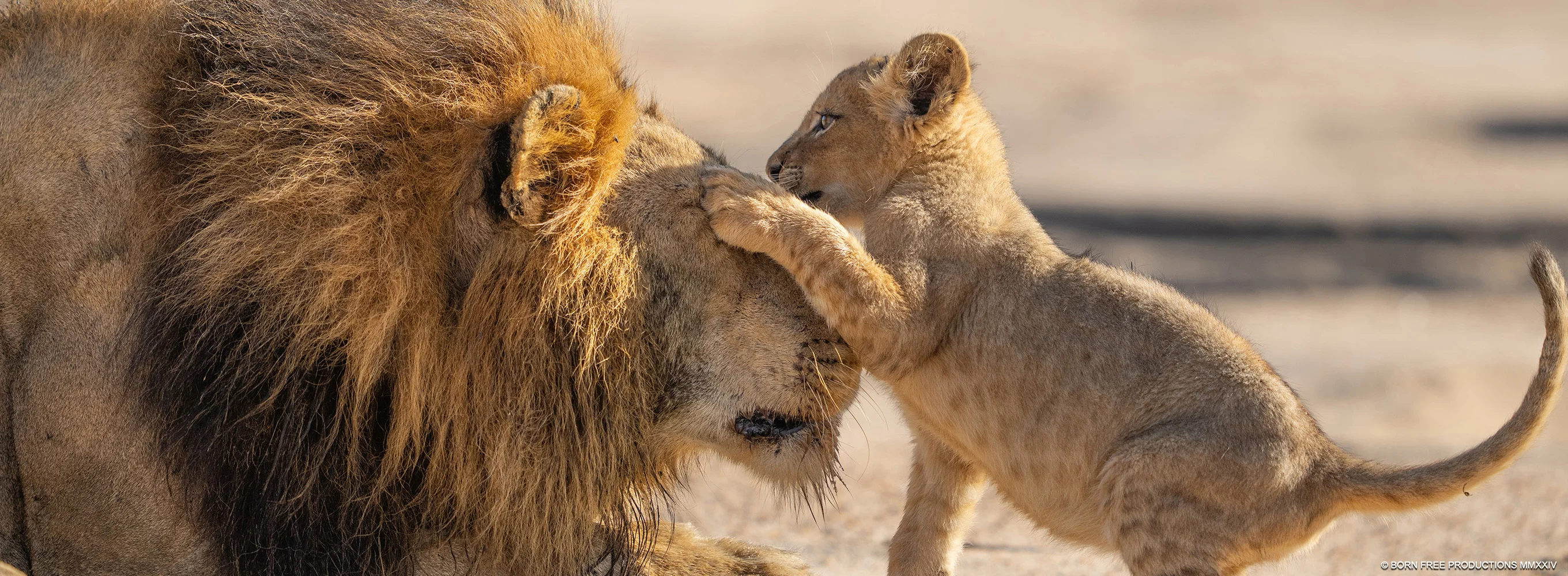 Parenthood - Season 1