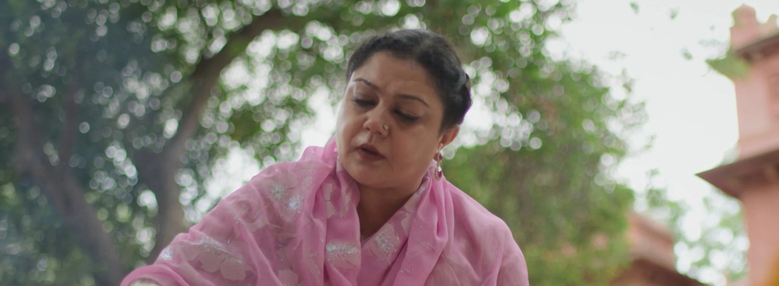 Raja Rasoi Aur Anya Kahaniyaan