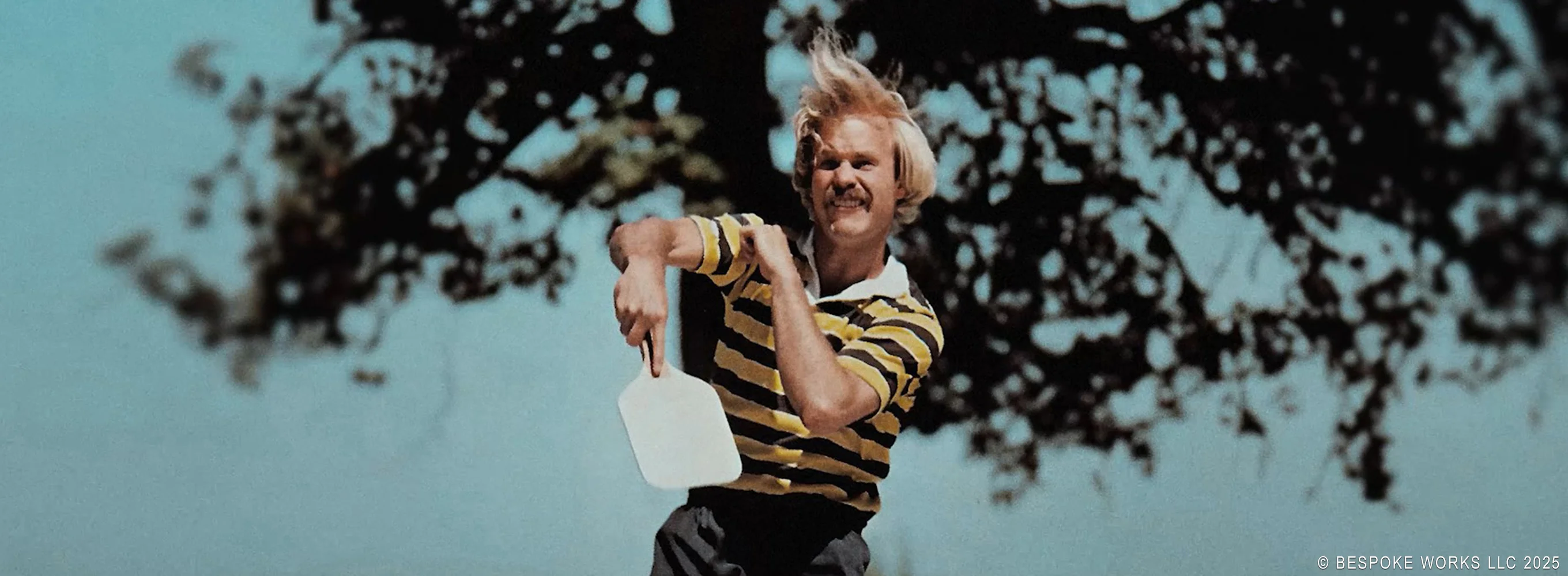 The Power of Pickleball