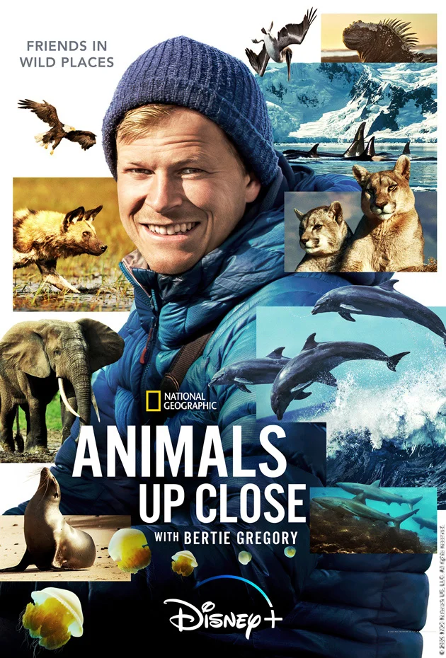 Animals Up Close with Bertie Gregory