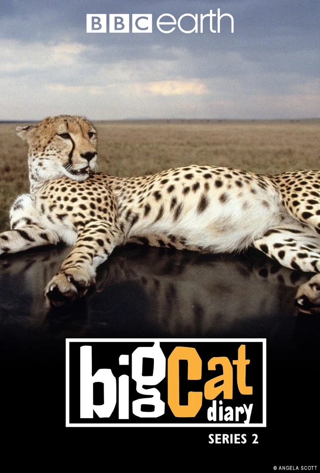 Big Cats 24/7