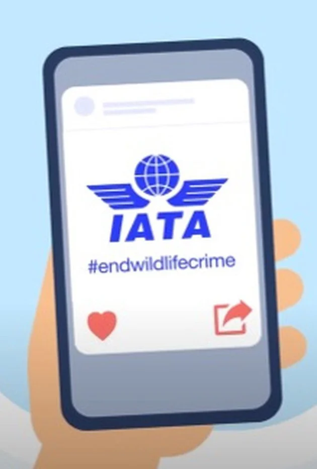 Passenger Awareness on Wildlife Trafficking - Ivory