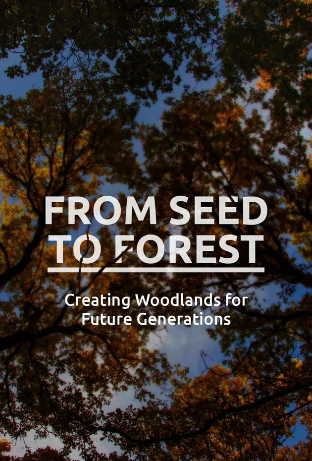 Seed to Forest - Creating Woodlands for Future Generations