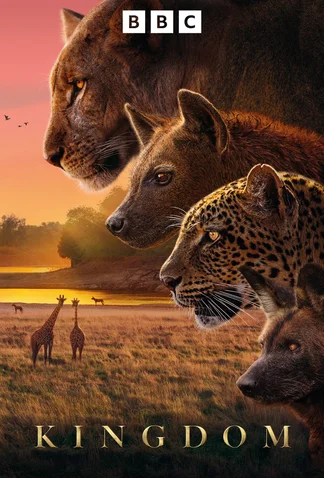 Kingdom