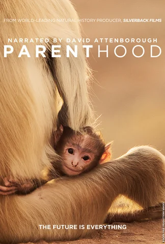Parenthood - Season 1