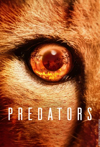 Predators