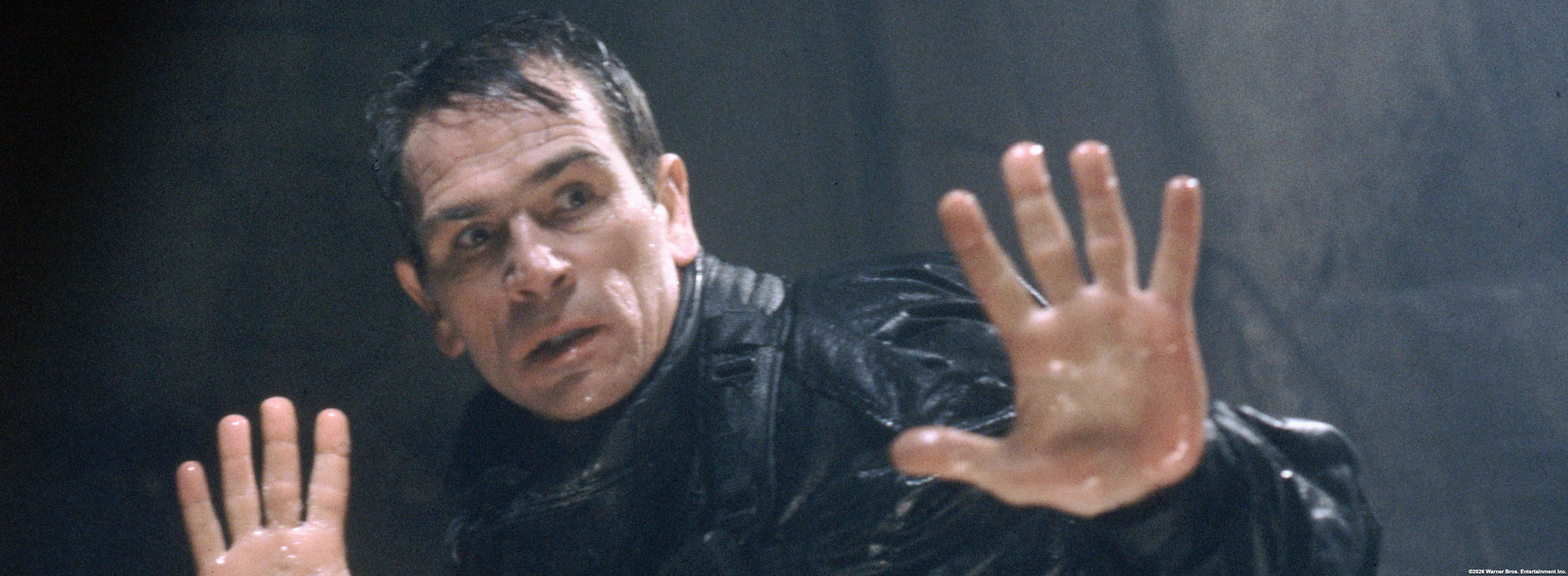 The Fugitive