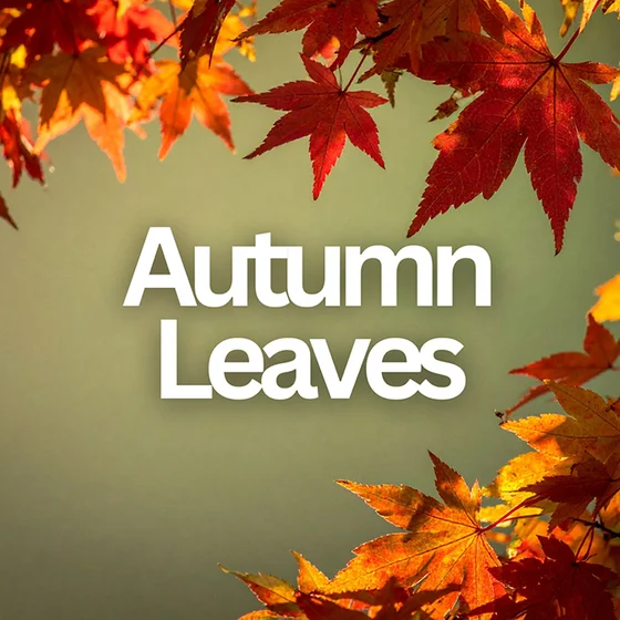 Autumn Leaves