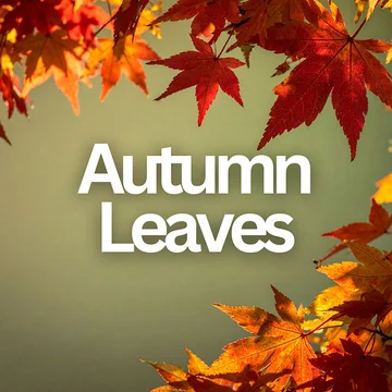Autumn Leaves