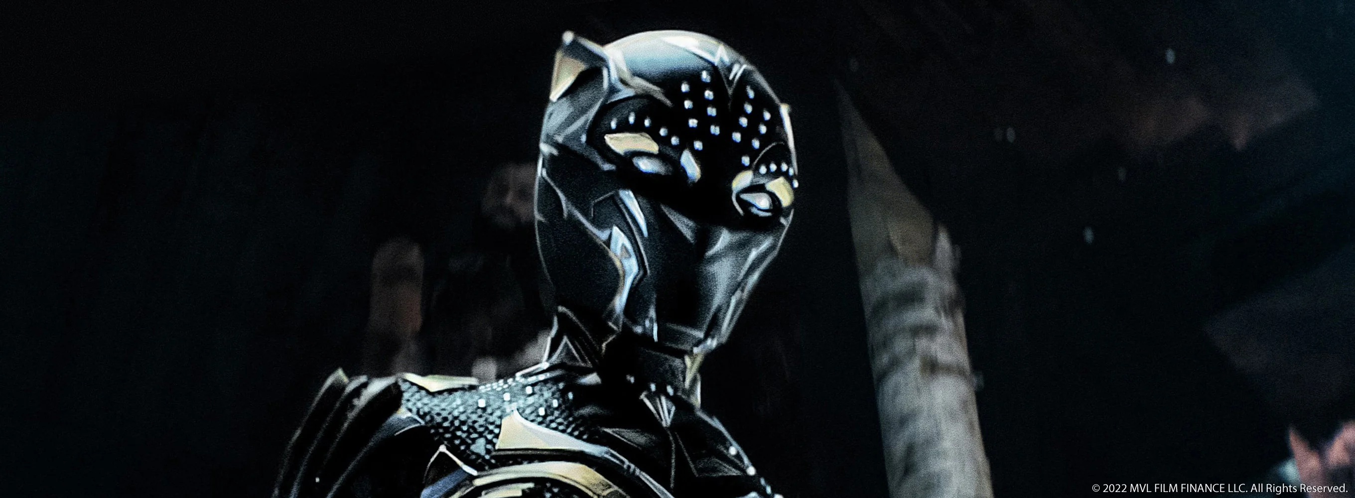 Black Panther: Wakanda Forever