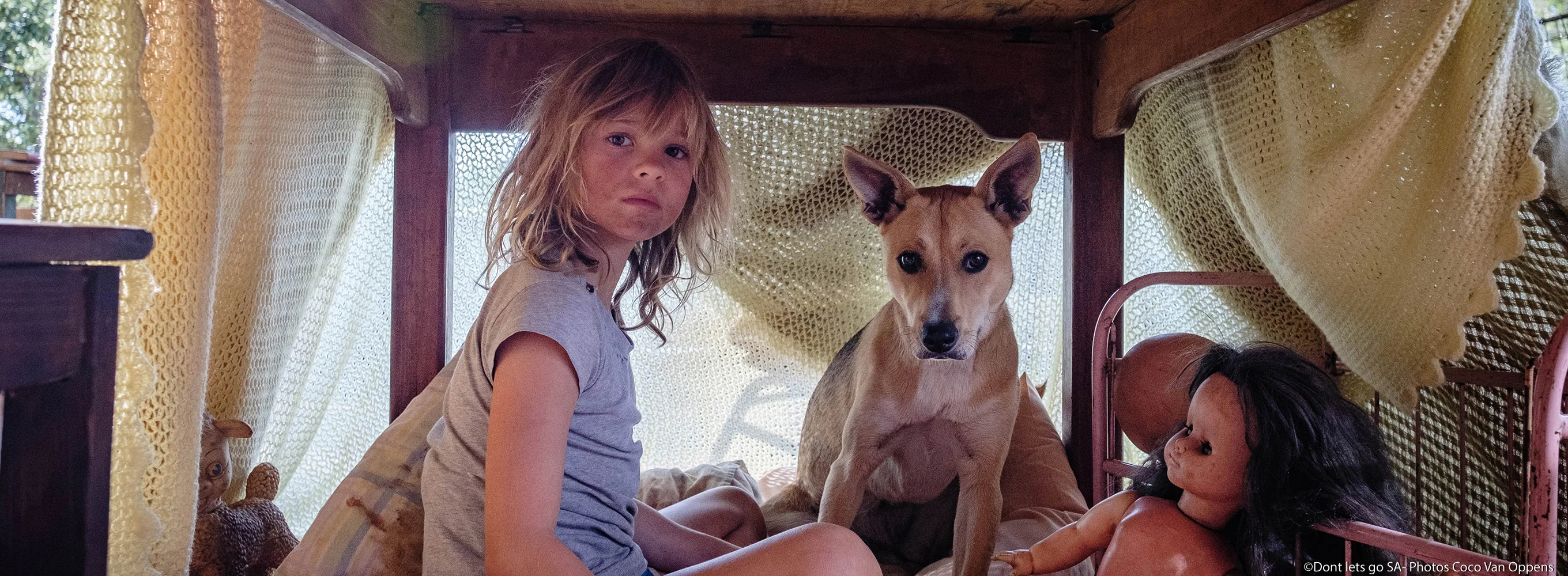 Don't Let's Go to the Dogs Tonight