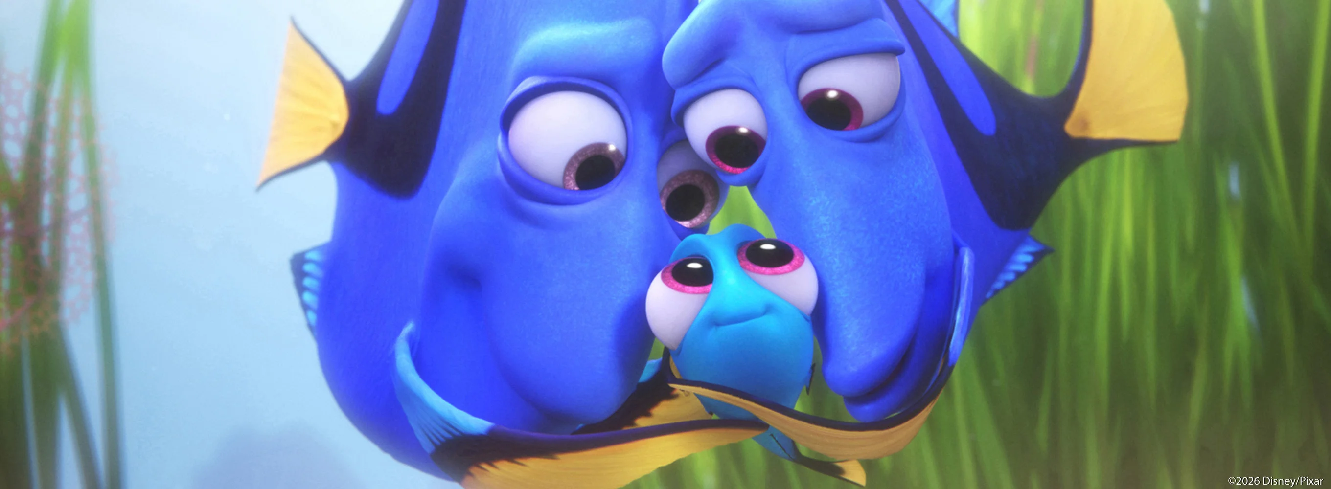 Finding Dory