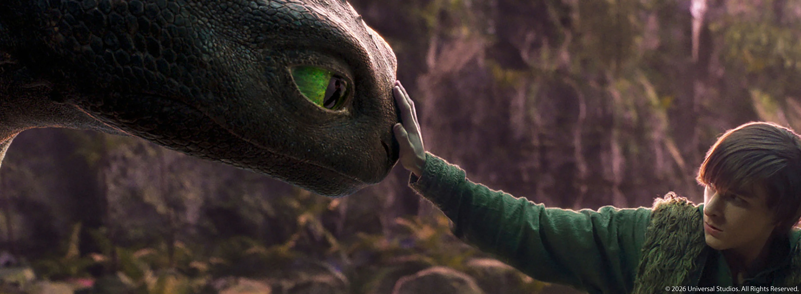 How to Train Your Dragon (2025)