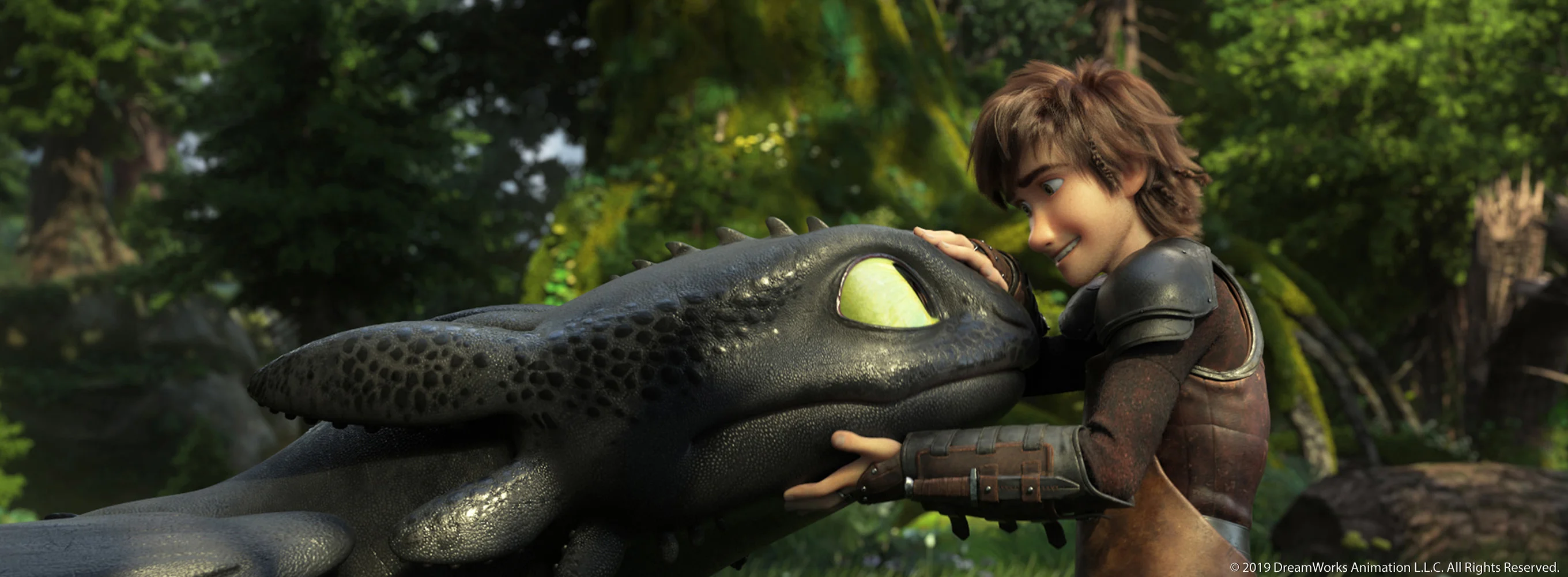 How to Train Your Dragon: The Hidden World