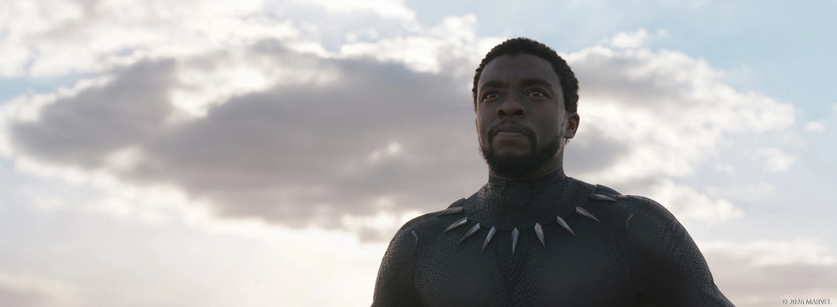 Marvel Studios' Black Panther