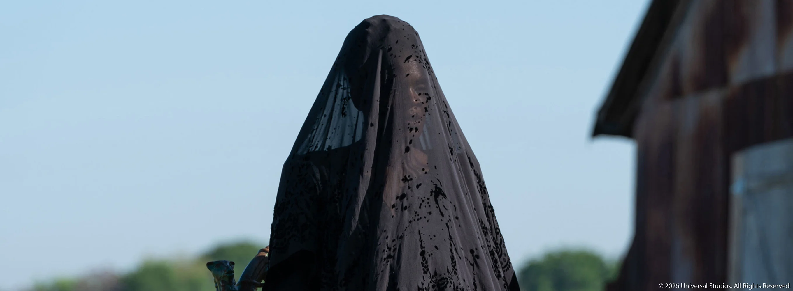 The Woman in the Yard