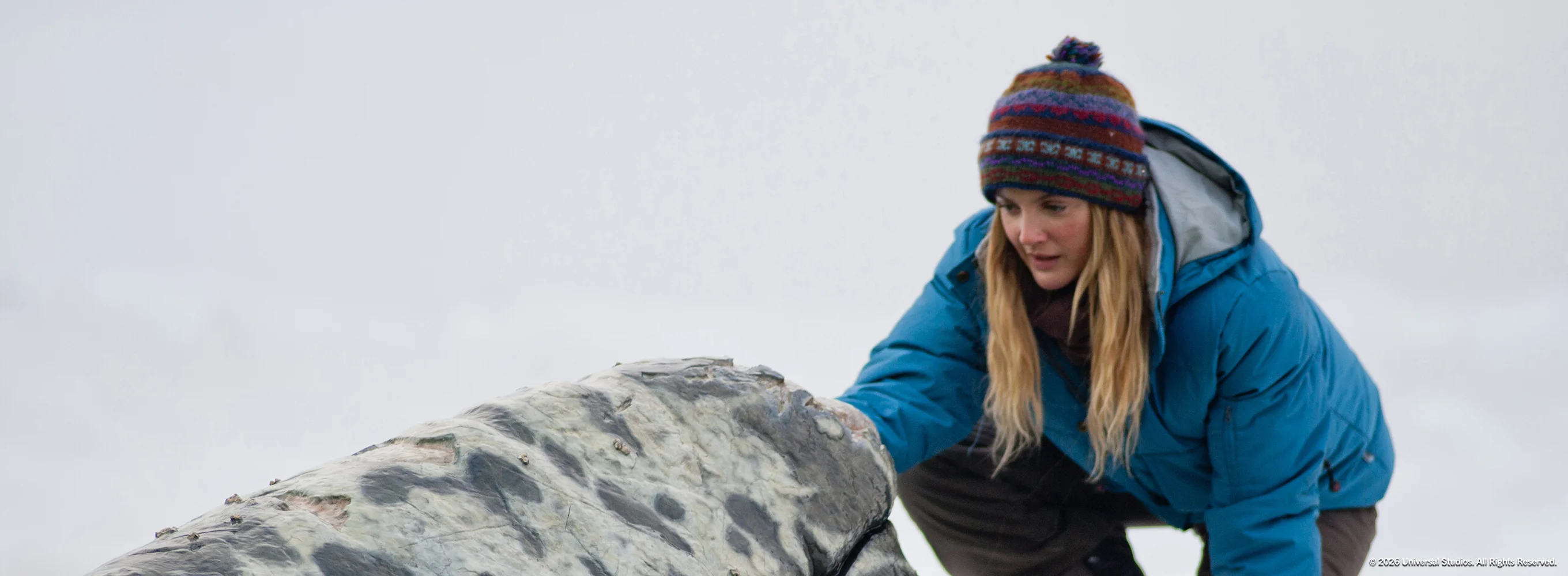 Big Miracle