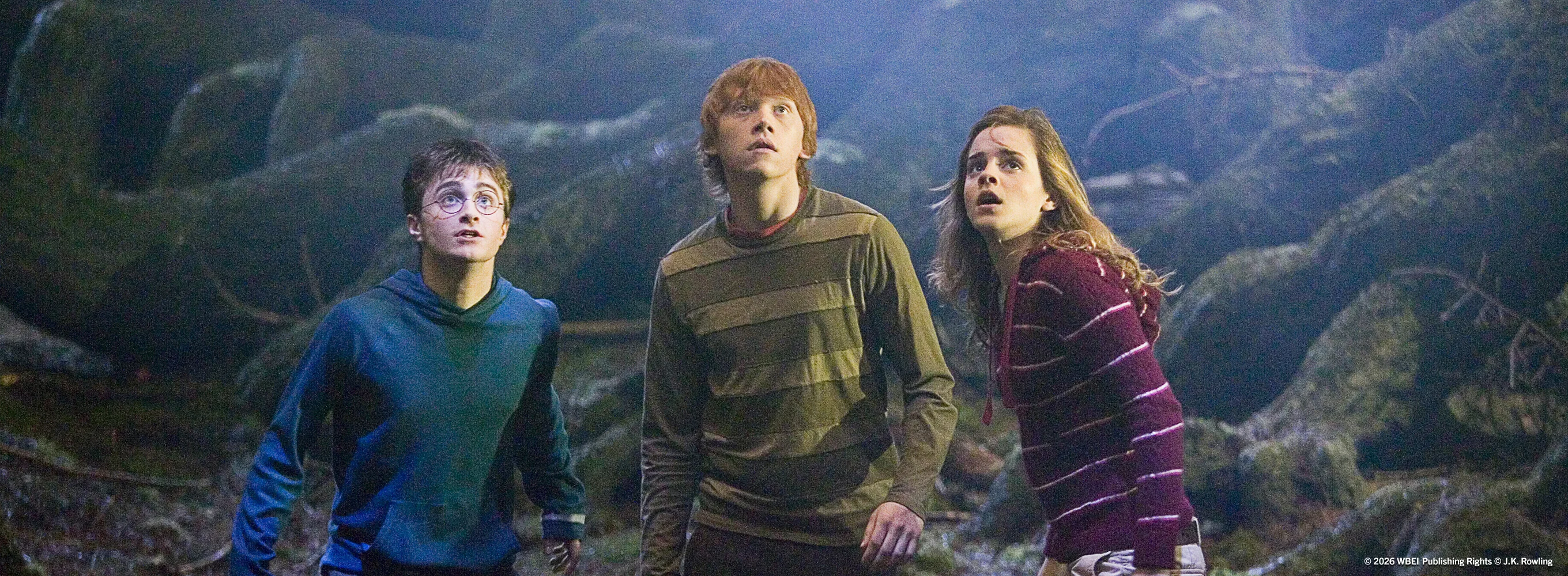 Harry Potter and the Order of the Phoenix