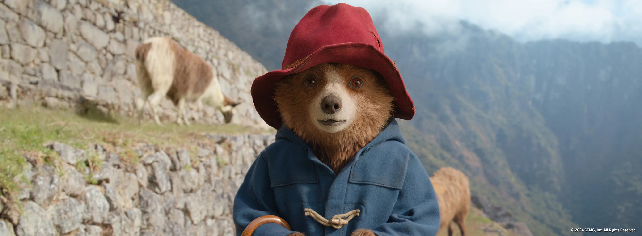 Paddington in Peru