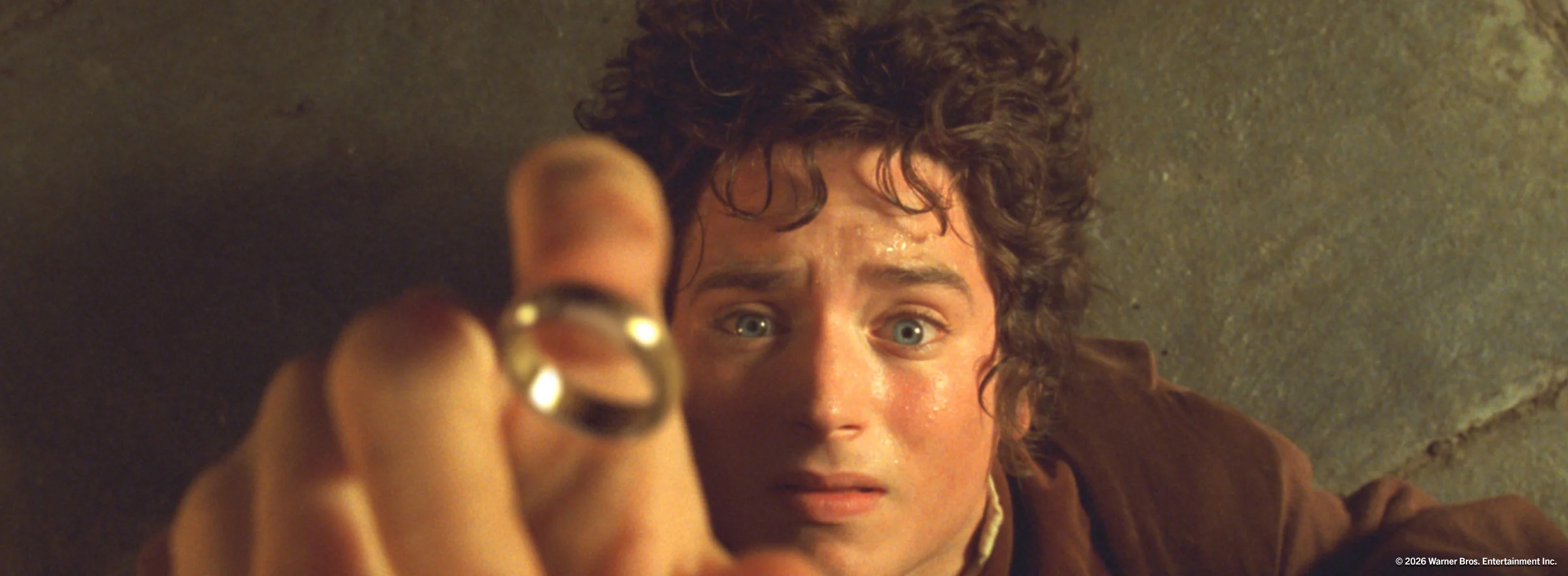 The Lord of the Rings: The Fellowship of the Ring