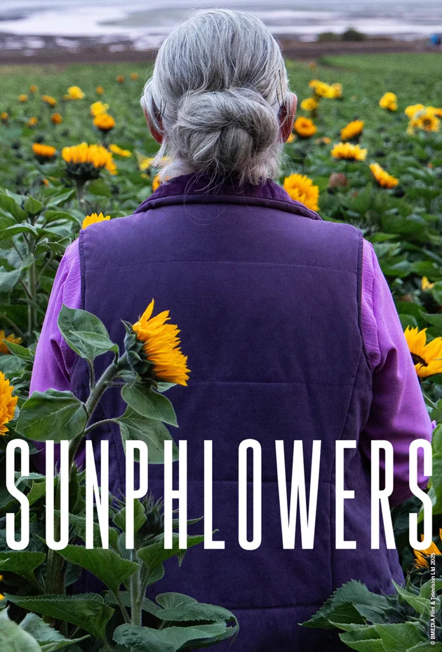 Sunphlowers