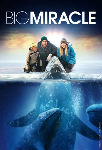 Big Miracle