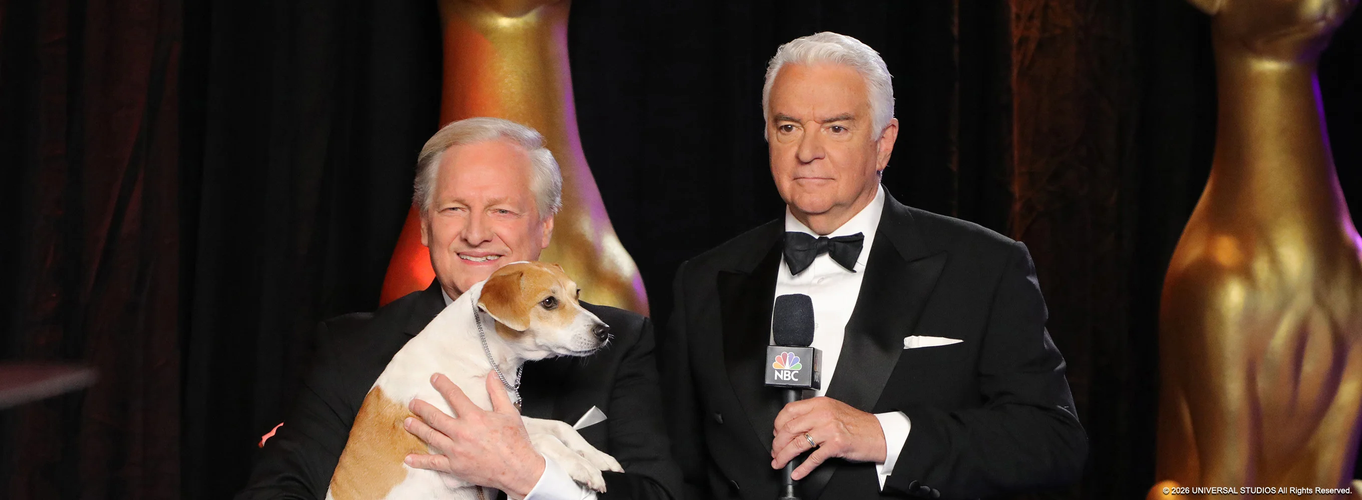 The National Dog Show