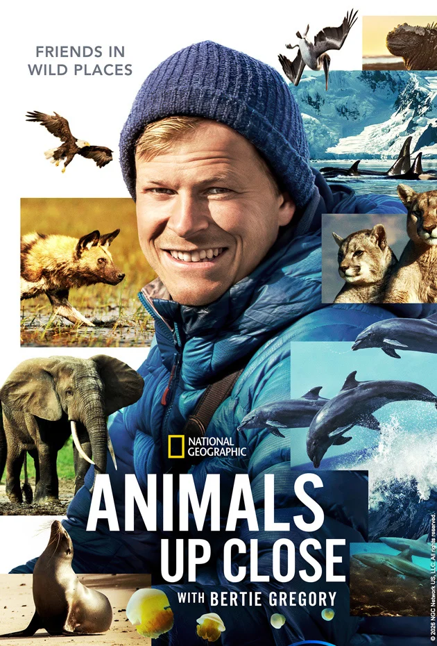 Animals Up Close with Bertie Gregory