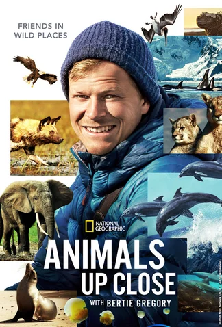 Animals Up Close with Bertie Gregory