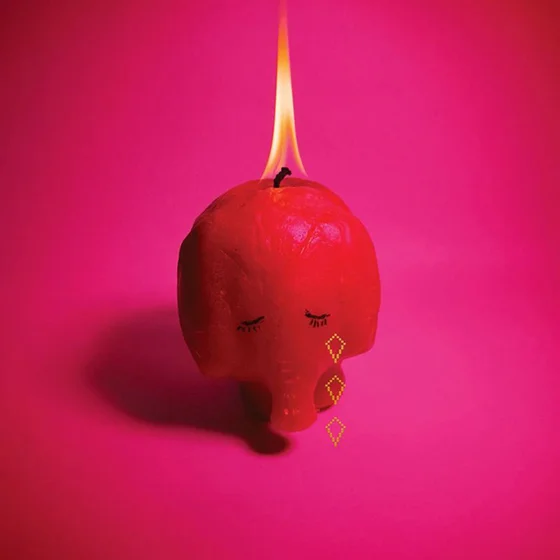 Pink Elephant