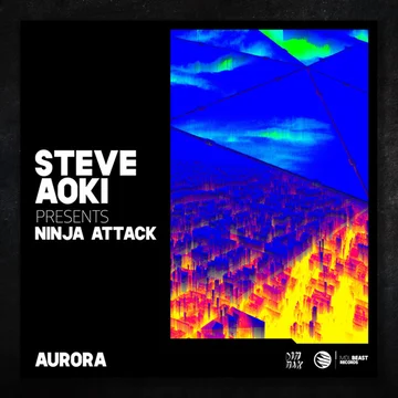 Artist Focus: Steve Aoki