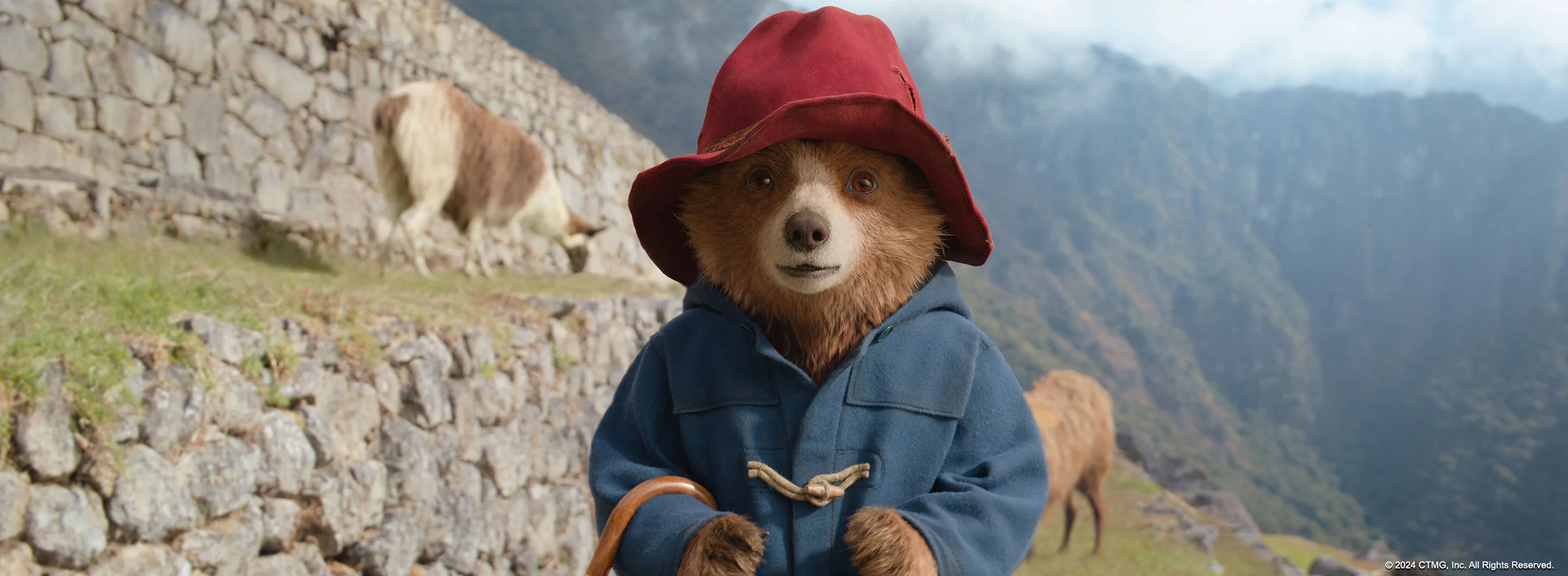 Paddington in Peru