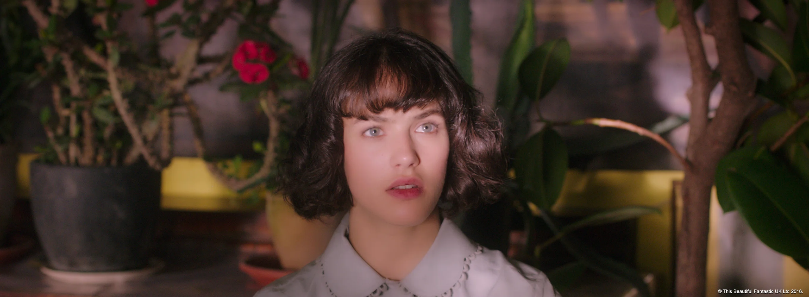 This Beautiful Fantastic
