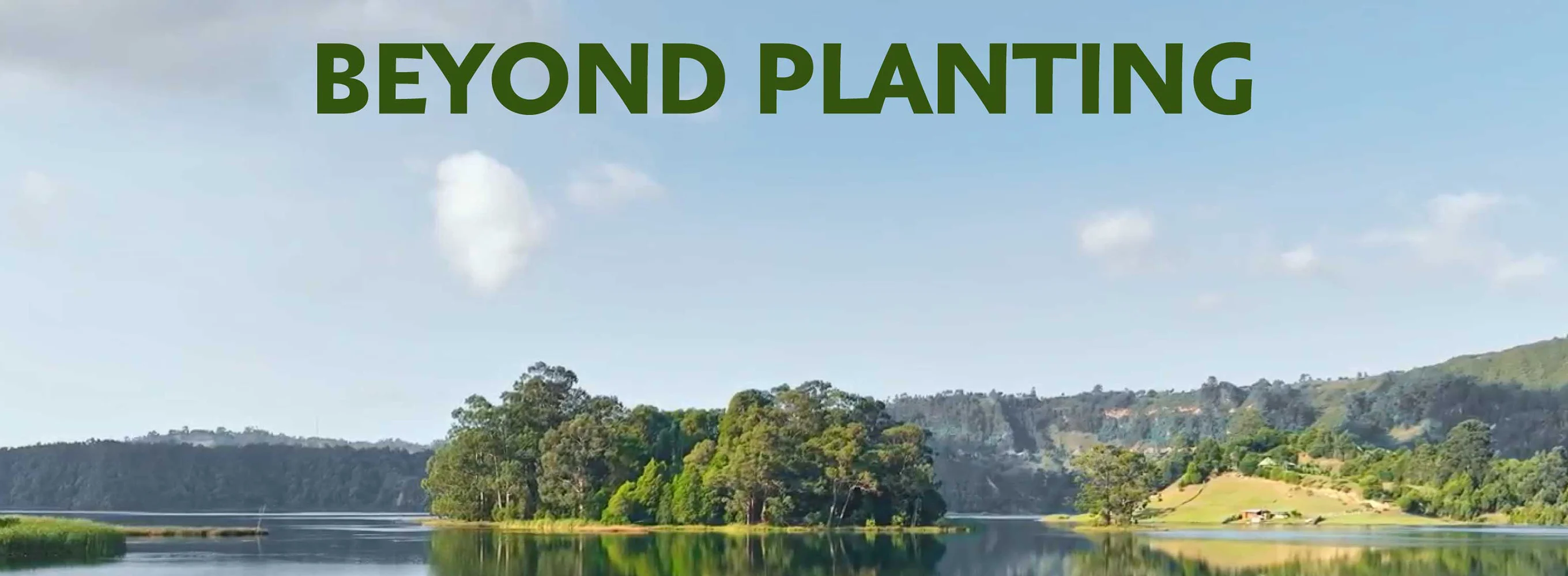 Beyond Planting