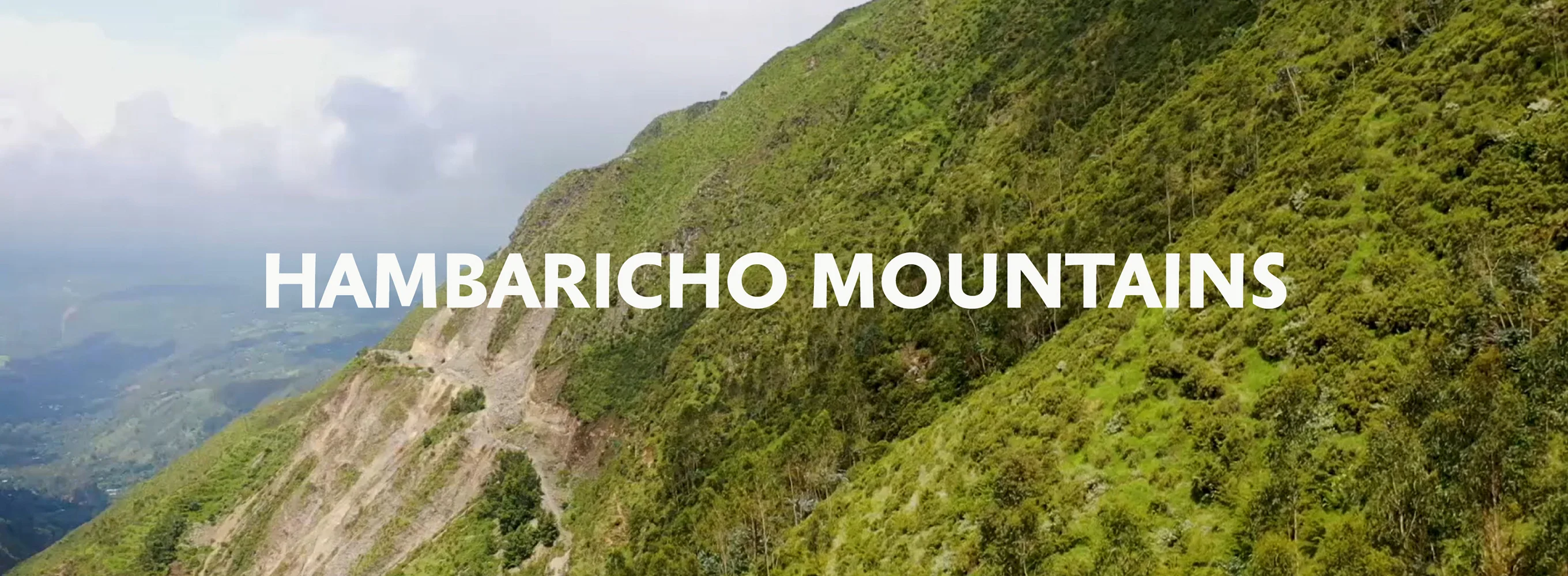 Hambaricho