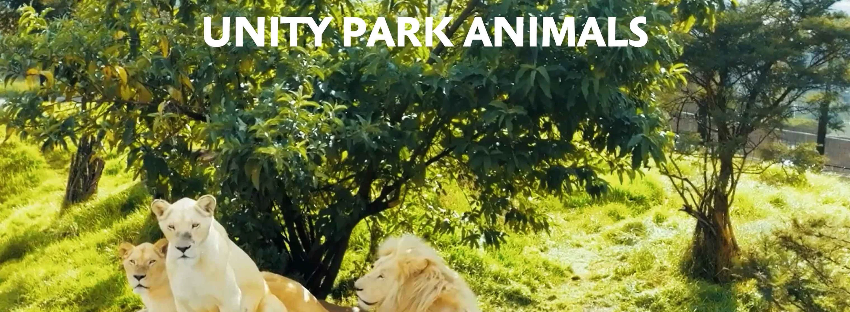 Unity Park