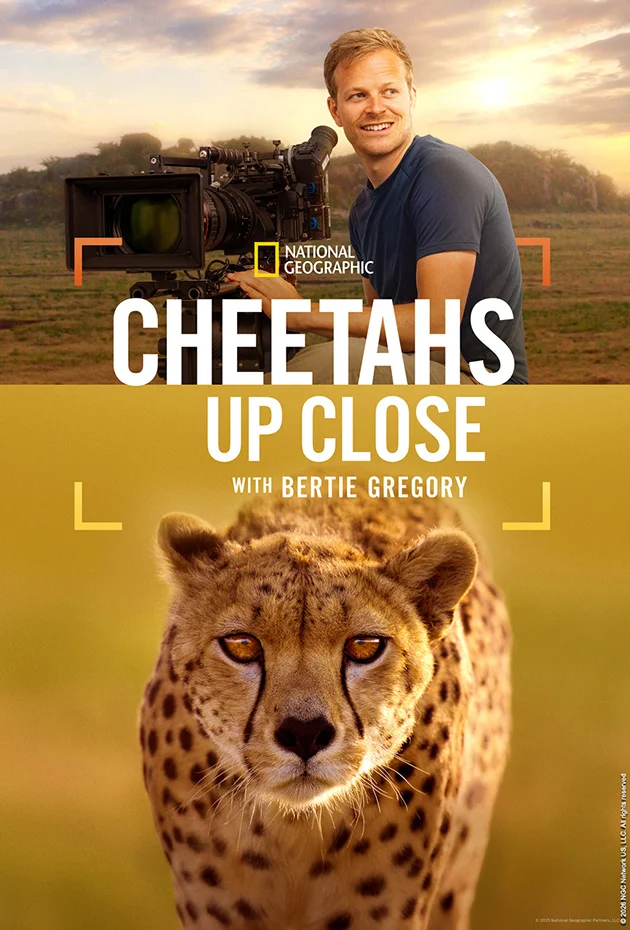 Cheetahs Up Close with Bertie Gregory