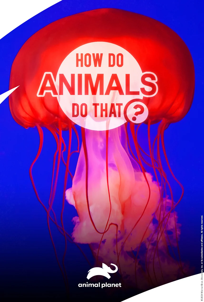 How Do Animals Do That?