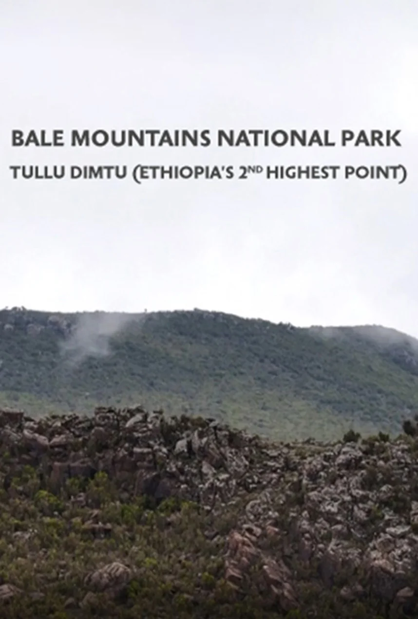 Tullu Dimtu - Ethiopia’s 2nd Highest Point