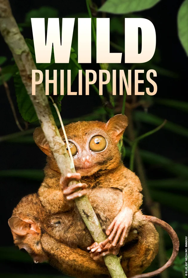 Wild Philippines