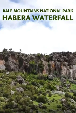 Habera Waterfall - Bale National Mountain Park