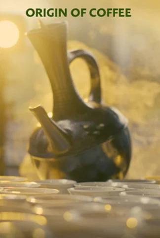 Origin of Coffee